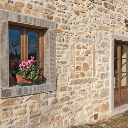 Villa Liz Tuscany, Private Pool, Hot Tub, Property Fenced, Pets Allowed 포피 외부 사진