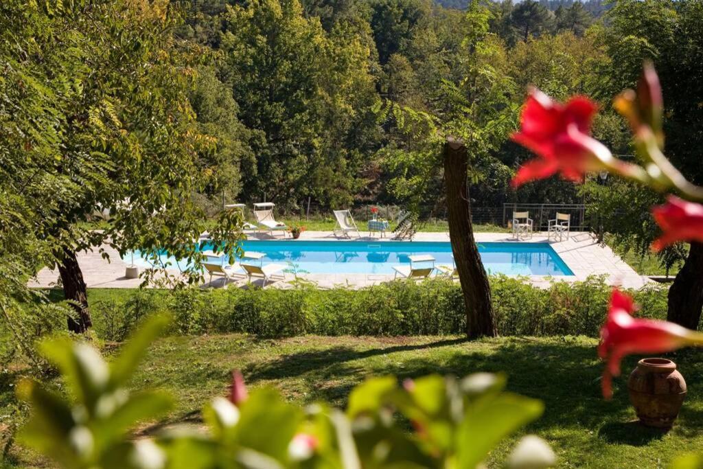 Villa Liz Tuscany, Private Pool, Hot Tub, Property Fenced, Pets Allowed 포피 외부 사진