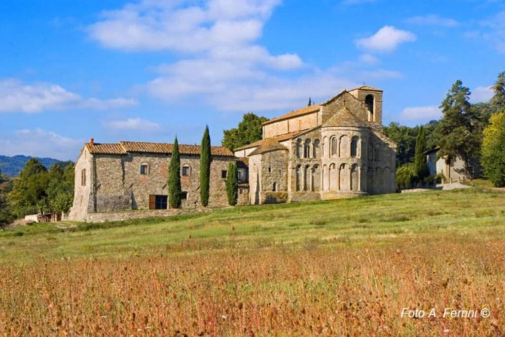 Villa Liz Tuscany, Private Pool, Hot Tub, Property Fenced, Pets Allowed 포피 외부 사진