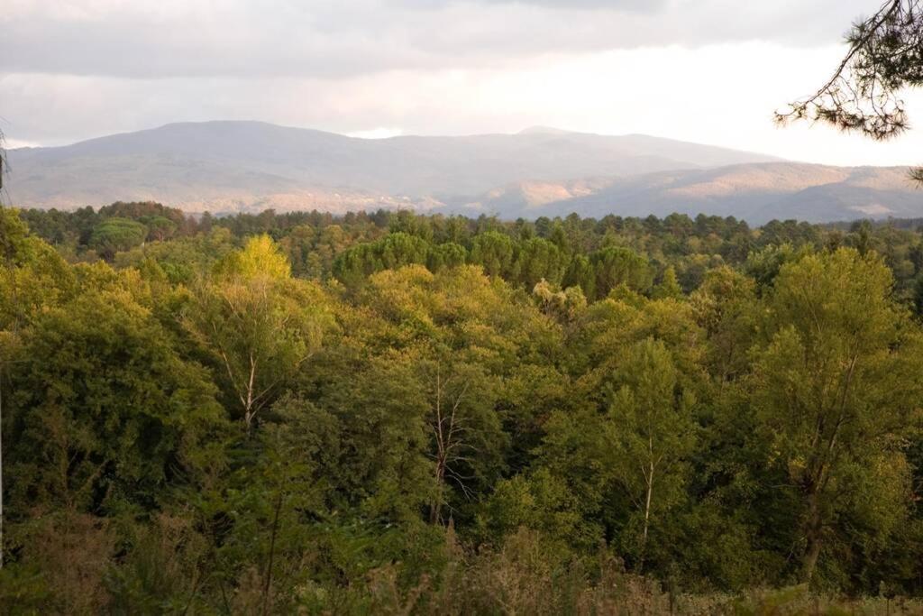 Villa Liz Tuscany, Private Pool, Hot Tub, Property Fenced, Pets Allowed 포피 외부 사진